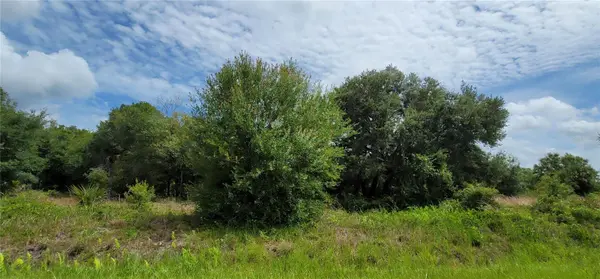 NW 268TH STREET LOT N, Okeechobee, FL 34972