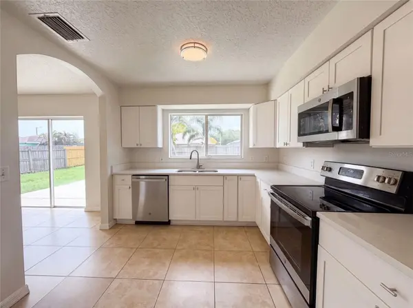 13236 PIKE LAKE DR, Riverview, FL 33579