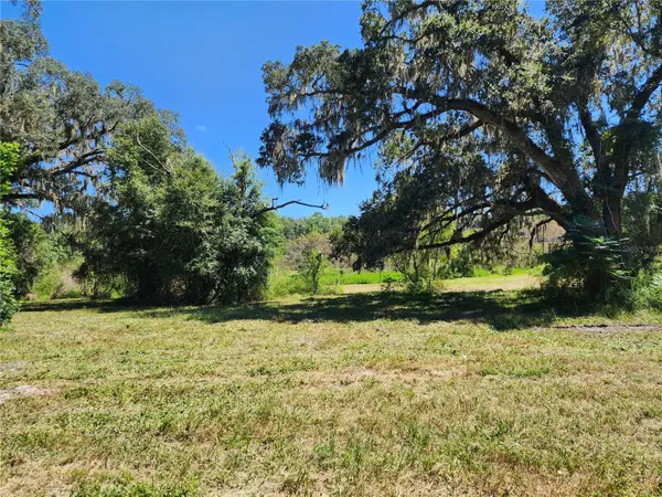 7670 NW 137TH AVE, Morriston, FL 32668