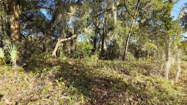 3009 PARMA DR, Deltona, FL 32738