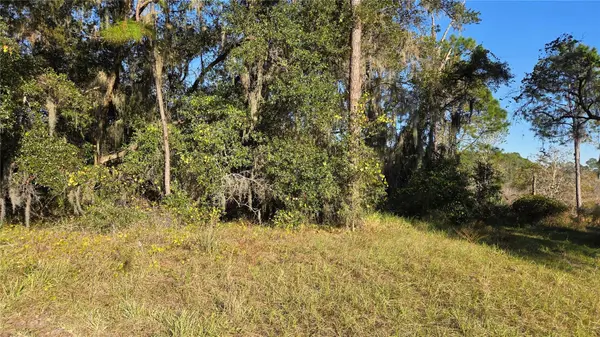 3009 PARMA DR, Deltona, FL 32738