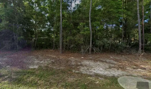 1616 W DATURA LN, Citrus Springs, FL 34434