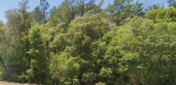 0 SE 309 AVE, Altoona, FL 32702