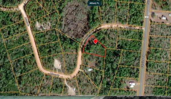 ADAMS DR, Alford, FL 32420