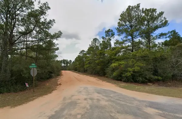 ADAMS DR, Alford, FL 32420