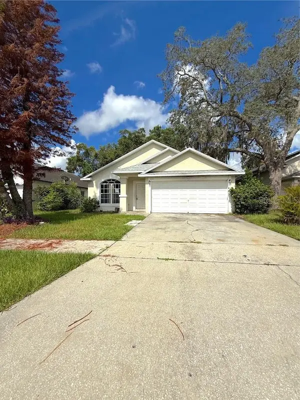 6313 LIVEWOOD OAKS DR, Orlando, FL 32818