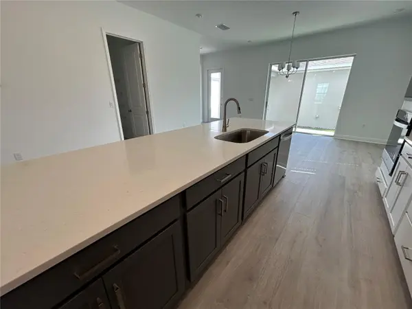 16902 HAMLIN OASIS LOOP, Winter Garden, FL 34787
