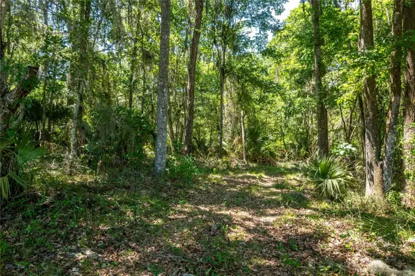 00 NW HWY 225, Reddick, FL 32686
