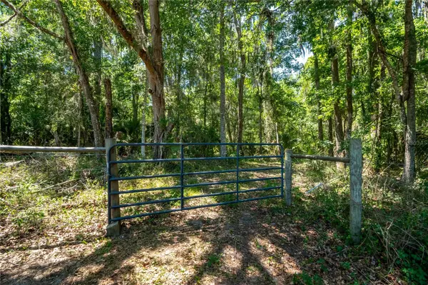 00 NW HWY 225, Reddick, FL 32686