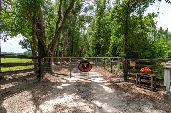 11990 156TH ST, Mc Alpin, FL 32062
