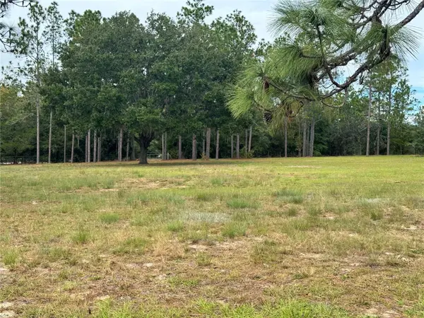 4551 NE 132ND CT, Williston, FL 32696