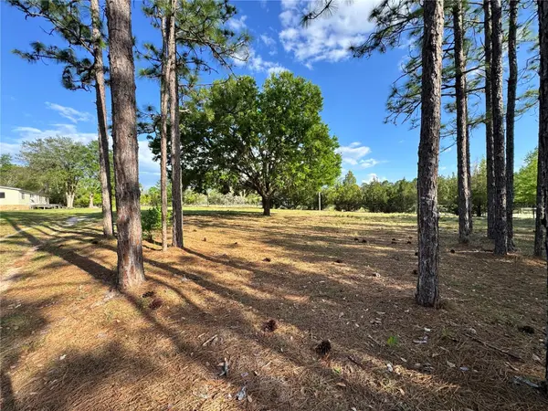 4551 NE 132ND CT, Williston, FL 32696