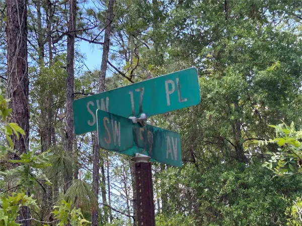 TBD SW 159TH AVE, Ocala, FL 34481