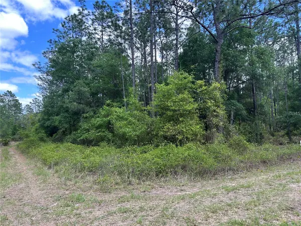 TBD SW 159TH AVE, Ocala, FL 34481