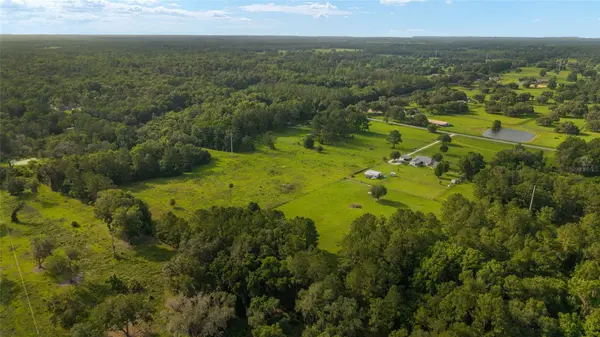 15015 NW 185TH ST, Williston, FL 32696