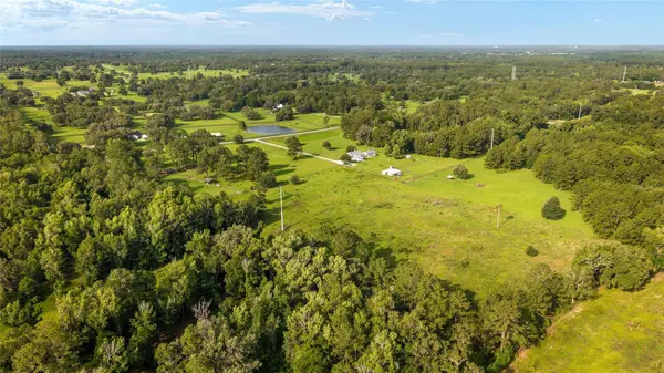 15015 NW 185TH ST, Williston, FL 32696