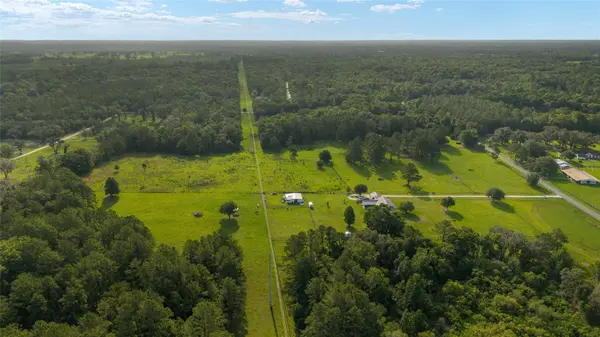 15015 NW 185TH ST, Williston, FL 32696