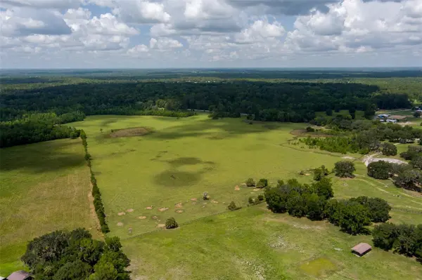 9504 NW HWY 320, Micanopy, FL 32667