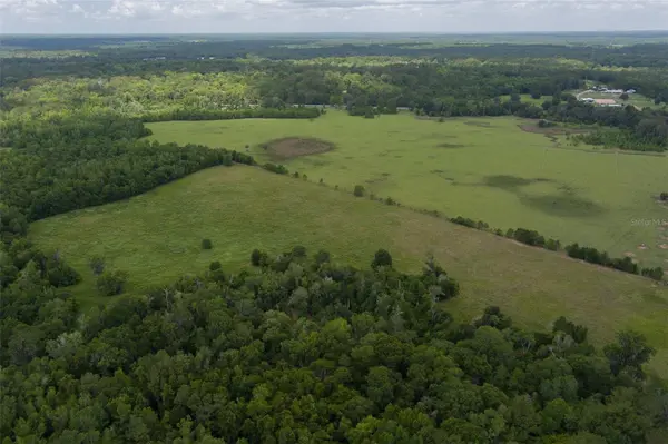 9504 NW HWY 320, Micanopy, FL 32667