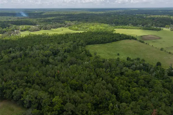 9504 NW HWY 320, Micanopy, FL 32667