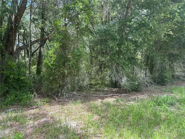 SW 111 LN, Dunnellon, FL 34432