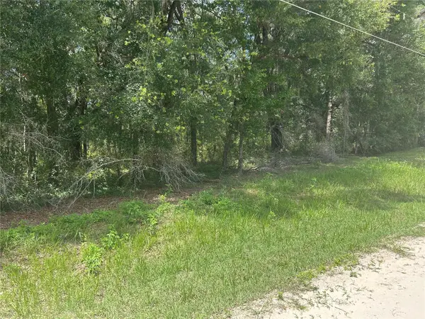 SW 111 LN, Dunnellon, FL 34432