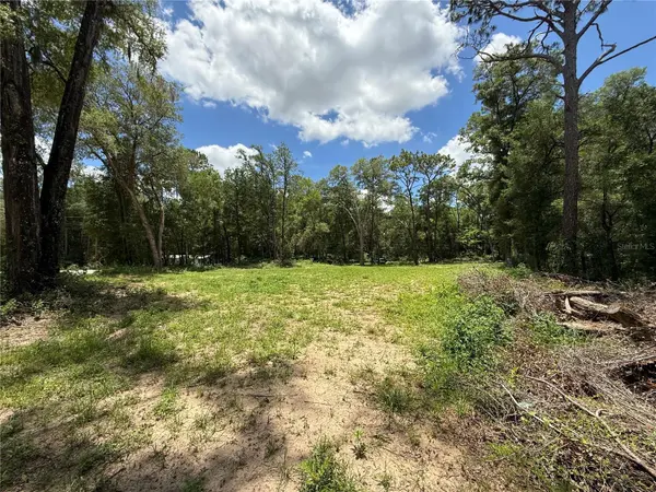 SW 53RD PL, Ocala, FL 34481