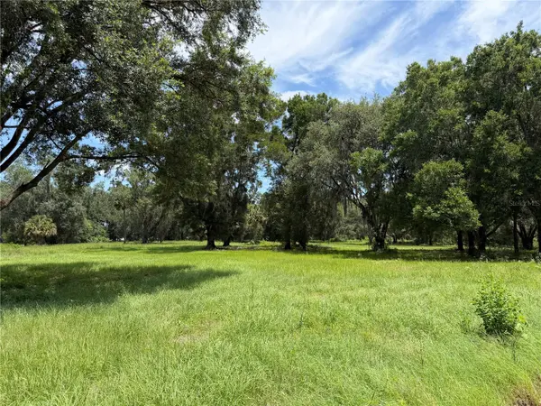 12870 NW 28TH AVE, Reddick, FL 32686