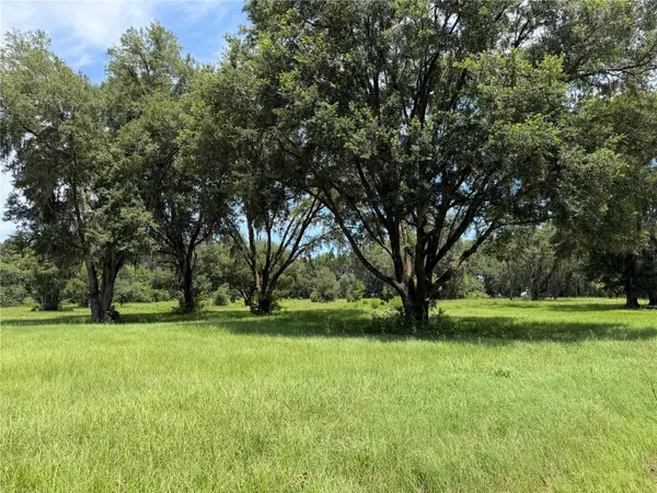 12870 NW 28TH AVE, Reddick, FL 32686