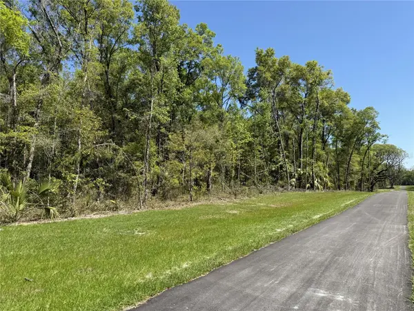 Irvine Acres #5 (13ac) W HWY 318, Reddick, FL 32686