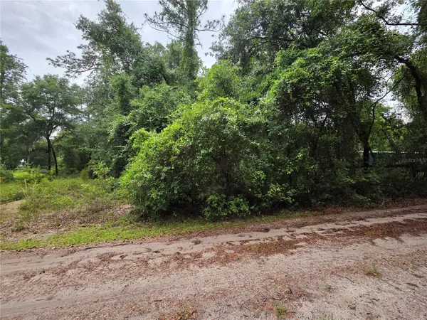 000 NE 138TH TER, Fort Mc Coy, FL 32134