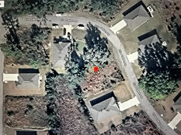 260 LIVE OAK LOOP, Crescent City, FL 32112