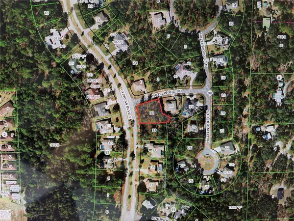 1 HAZELWOOD DR, Homosassa, FL 34446