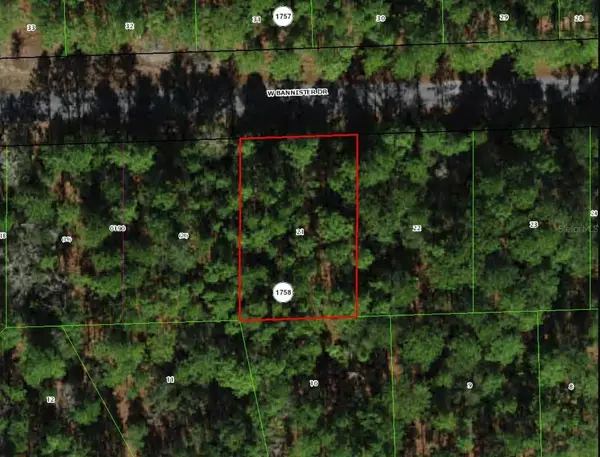 910 W BANNISTER DR, Citrus Springs, FL 34434