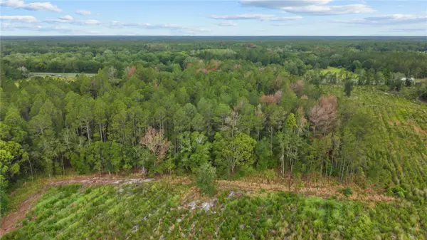 NE US HIGHWAY 301, Hawthorne, FL 32640