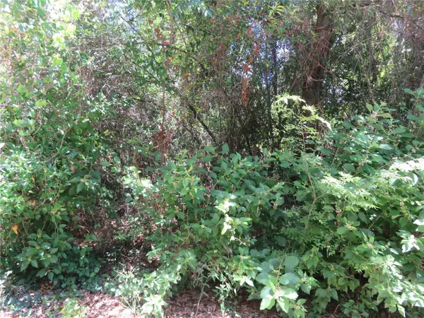 00 SE 142 PL, Summerfield, FL 34491