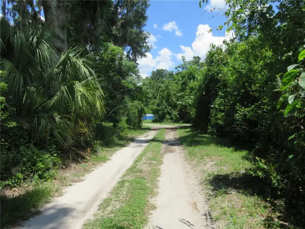 00 SE 142 PL, Summerfield, FL 34491