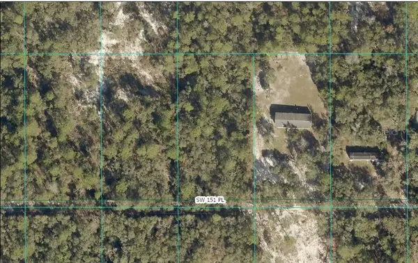 TBD SW 151ST PL, Dunnellon, FL 34432