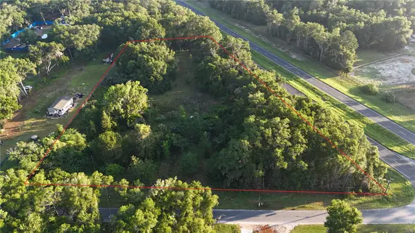 2303 NW 145TH ST, Citra, FL 32113