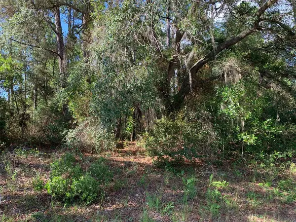 4081 W FINDLAY ST, Dunnellon, FL 34433