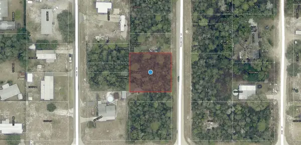 TBD PALMETTO ST, Paisley, FL 32767