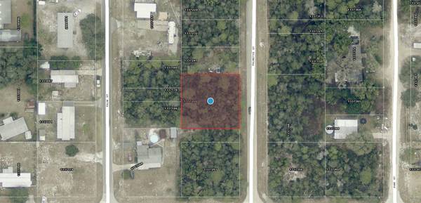 TBD PALMETTO ST, Paisley, FL 32767