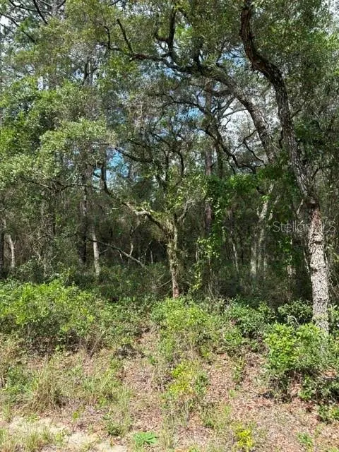 TBA SW WINDING HILLS RD, Dunnellon, FL 34431