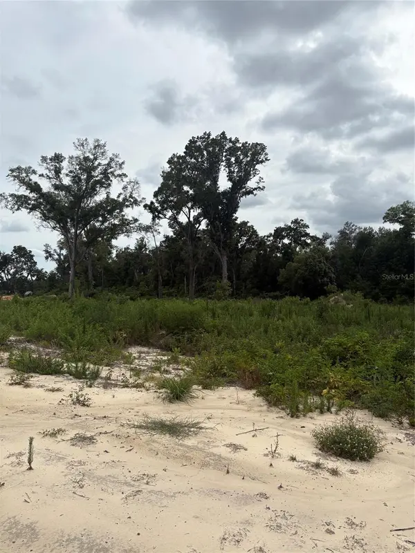7200 E HIGHWAY 25, Belleview, FL 34420