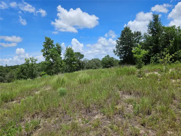 3814 W RANCETTA ST, Dunnellon, FL 34433
