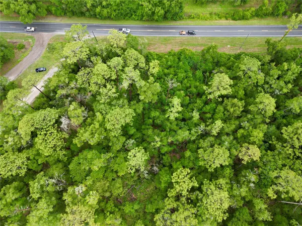 TBD W HWY 40, Ocala, FL 34481