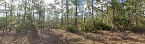 1303 GLENN AVE, Lehigh Acres, FL 33972