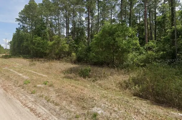 136 SHOREWOOD ST, Georgetown, FL 32139