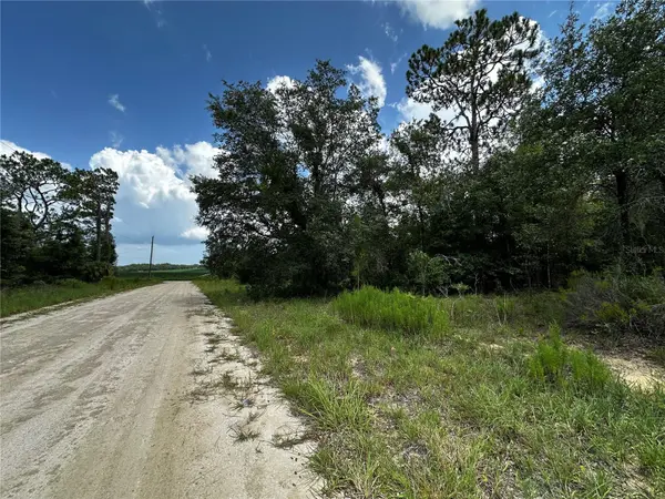 12930 NE 15TH ST, Williston, FL 32696
