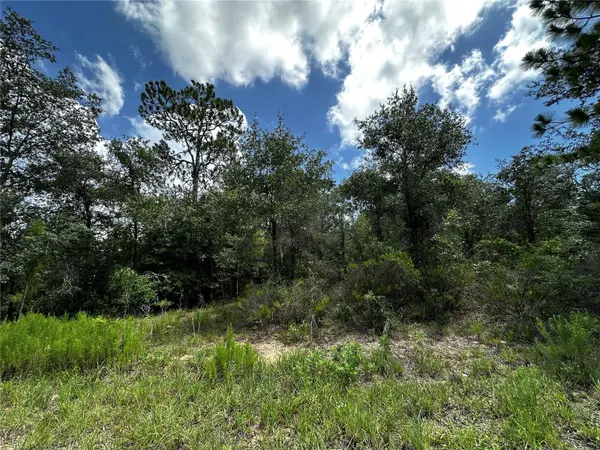 12930 NE 15TH ST, Williston, FL 32696
